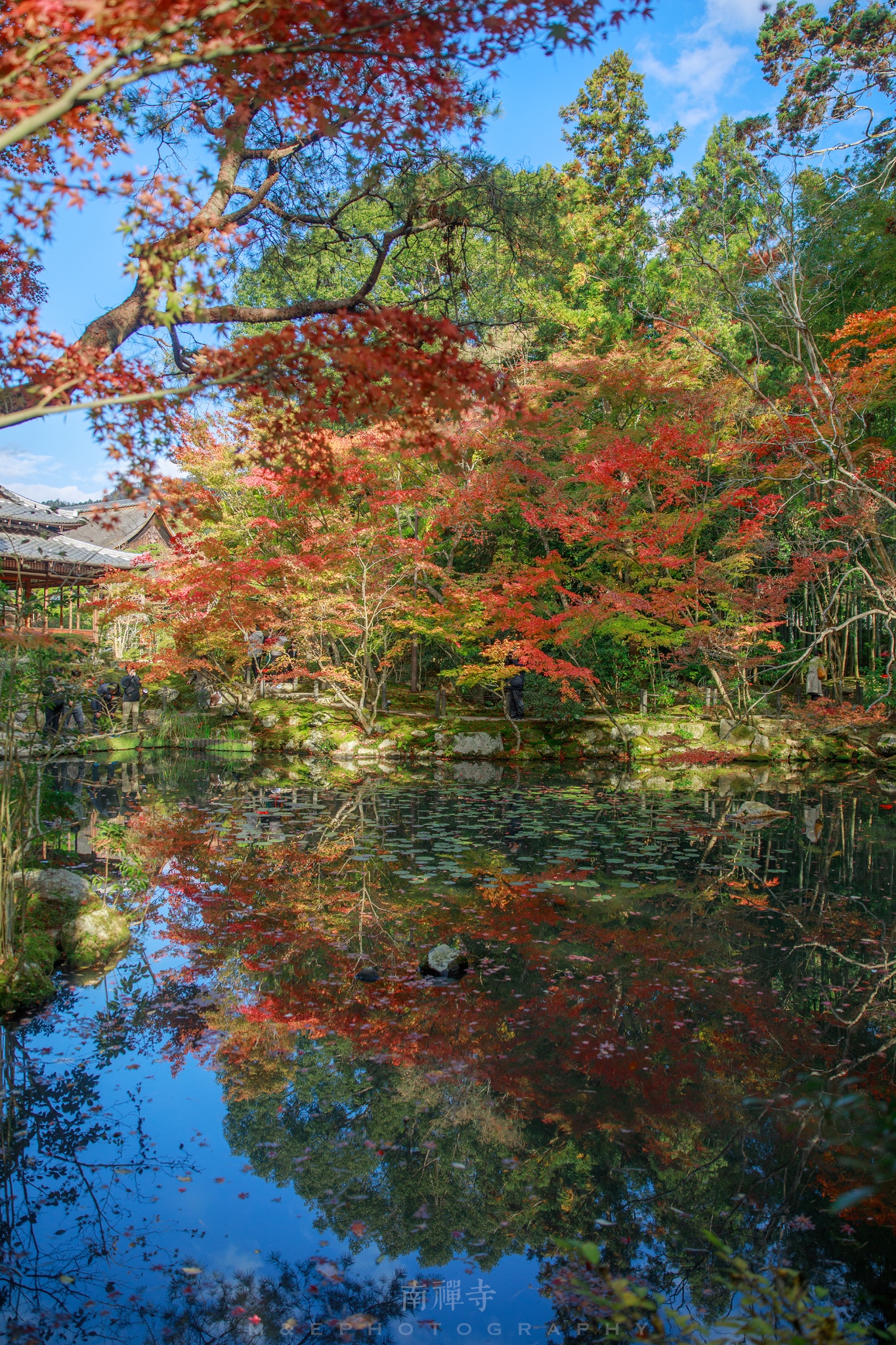 京都自助遊攻略