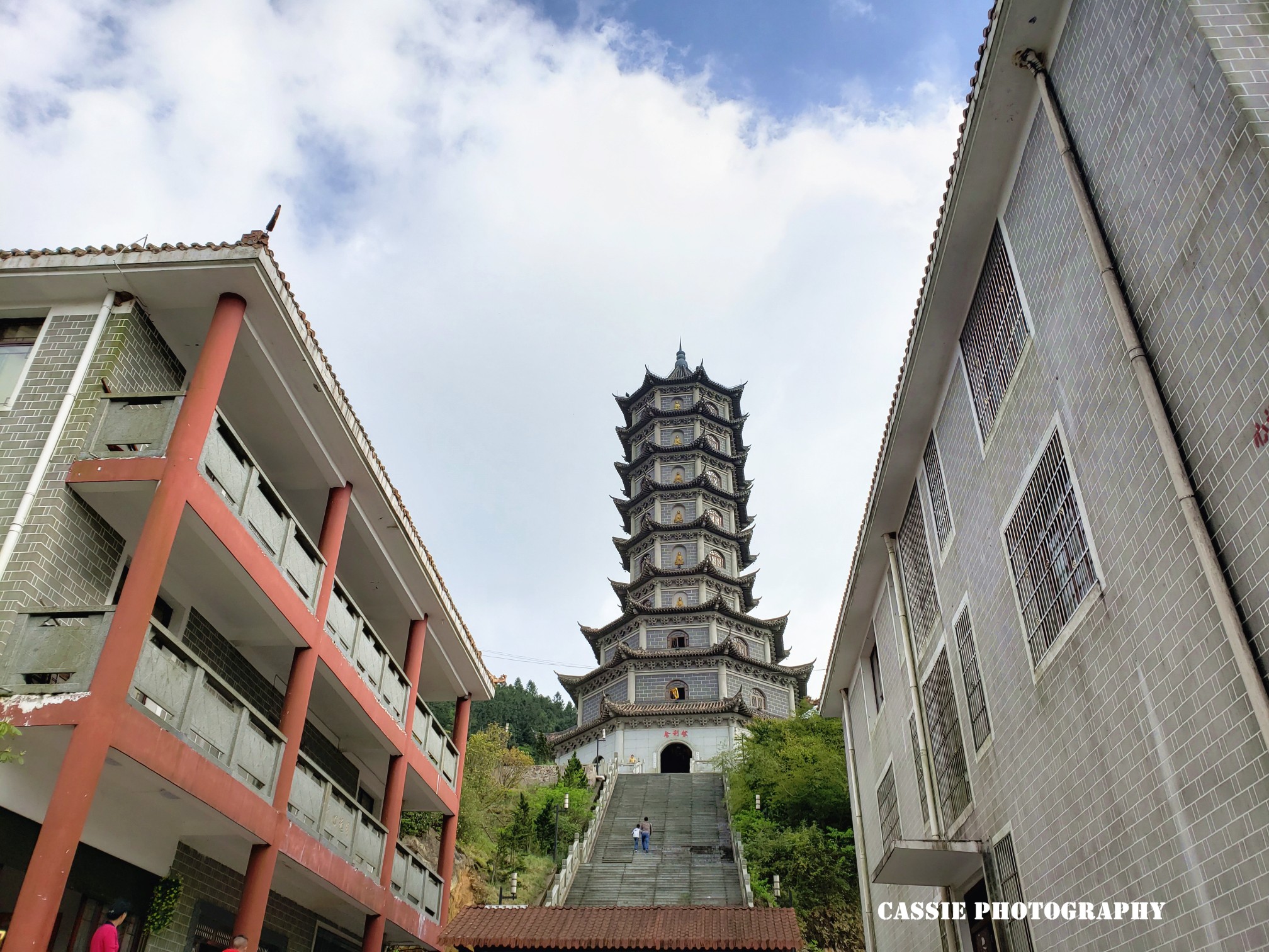 五一大围山杜鹃花海游七星岭上开遍哟映山红