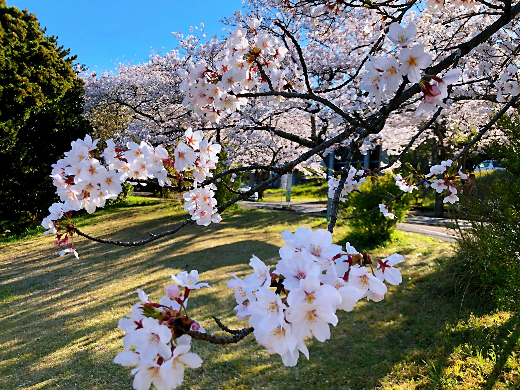 靜岡-御殿場-伊豆高原