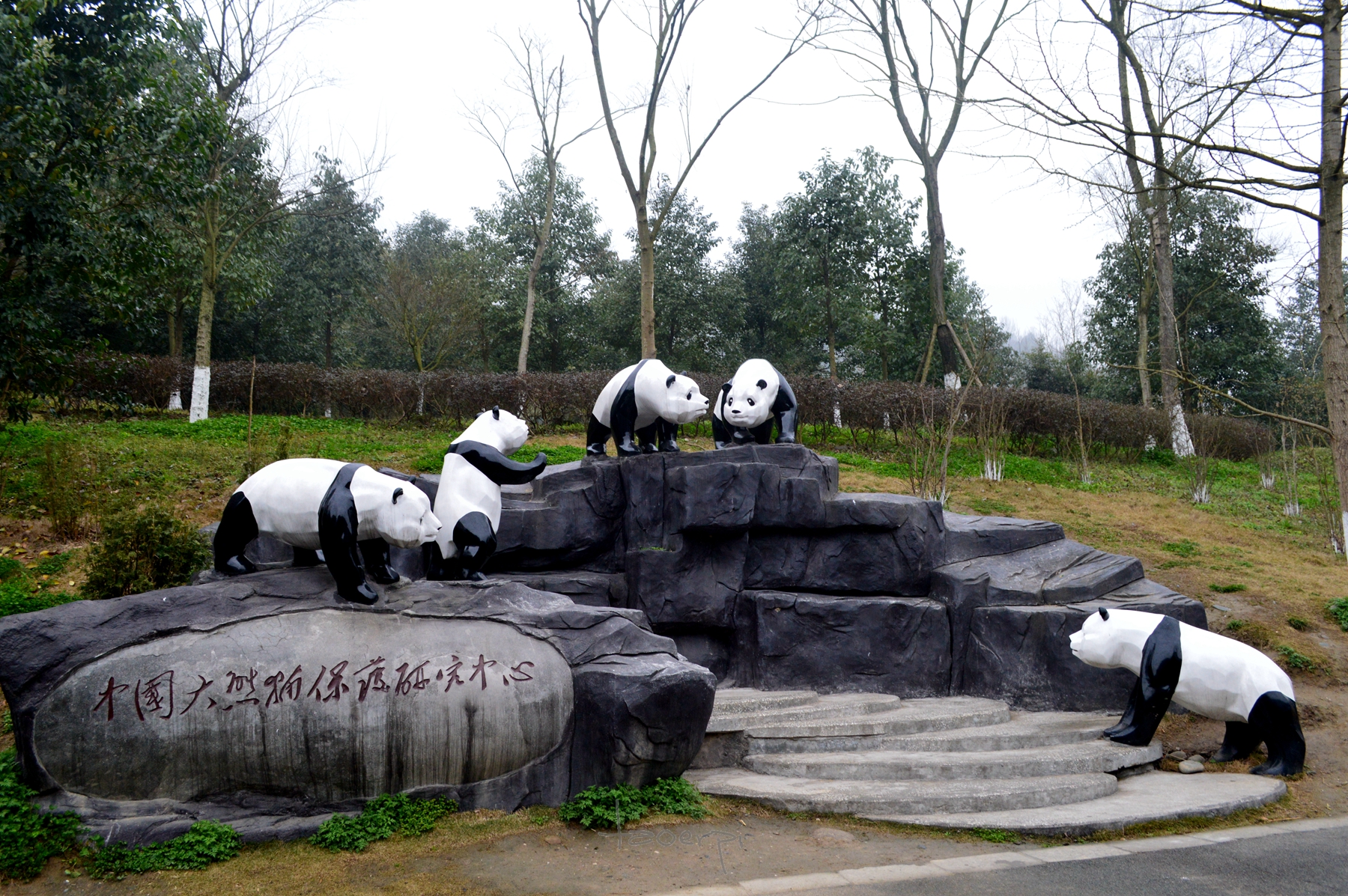 中国大熊猫保护研究中心都江堰基地(熊猫乐园)