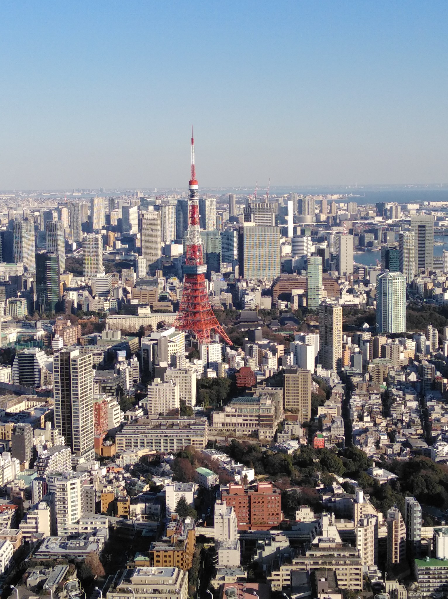 東京自助遊攻略