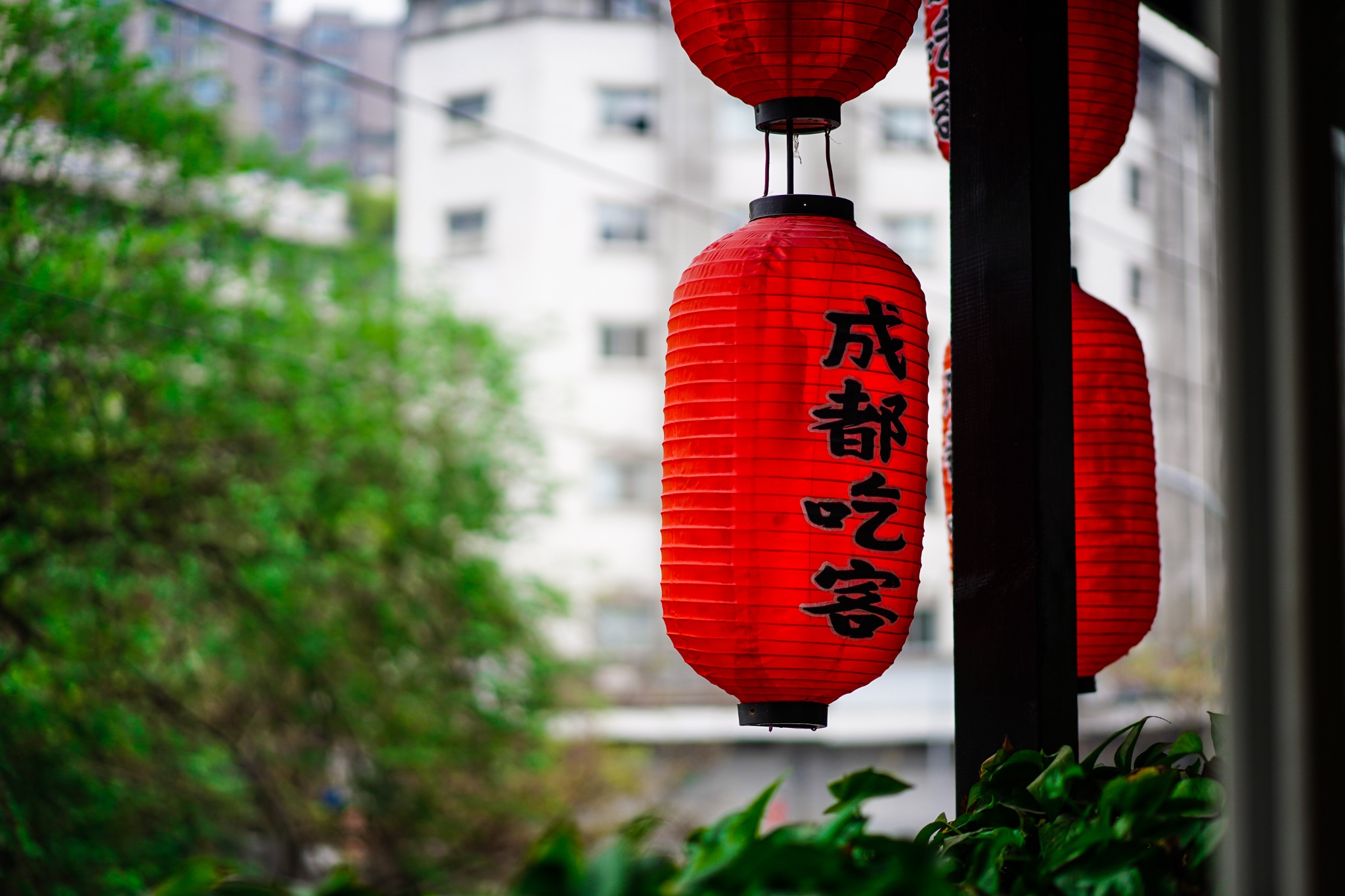 成都美食美景图片大全图片