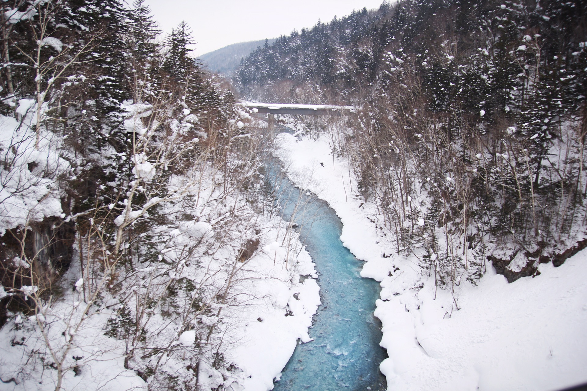 北海道自助遊攻略