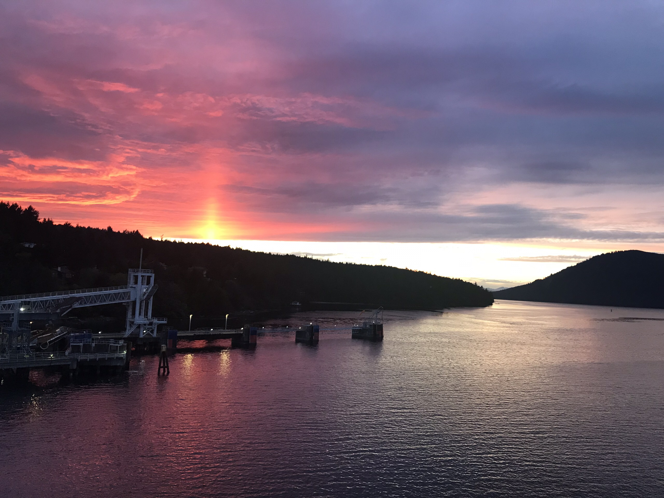 首府地区娱乐-Victoria Lavender - 停业