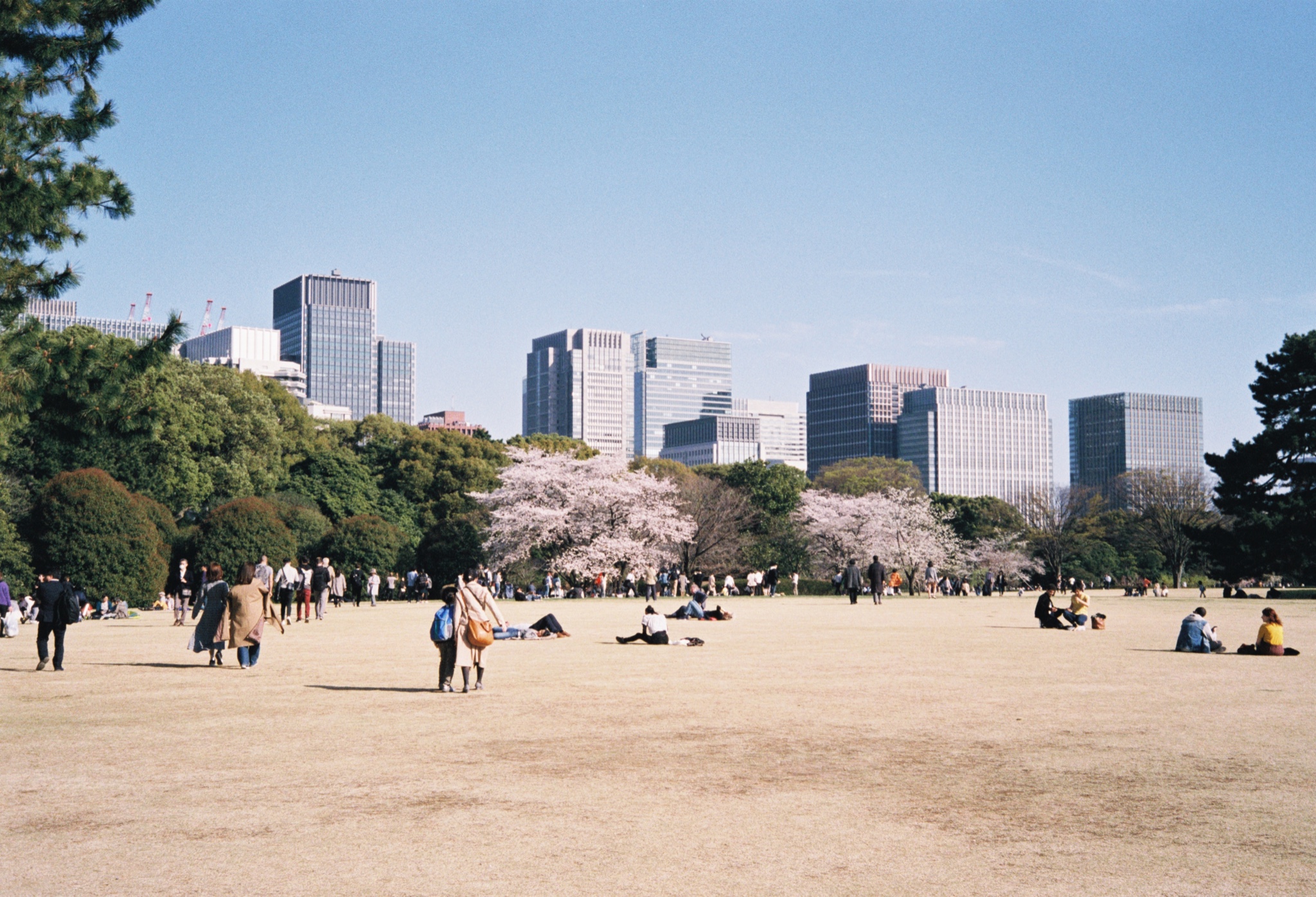 東京自助遊攻略