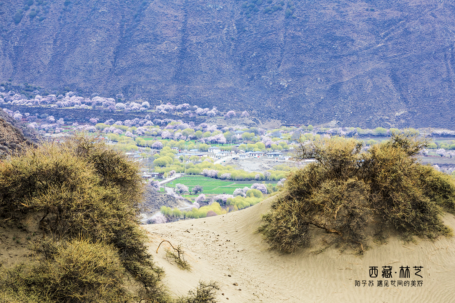 丹娘乡沙丘旅游景区