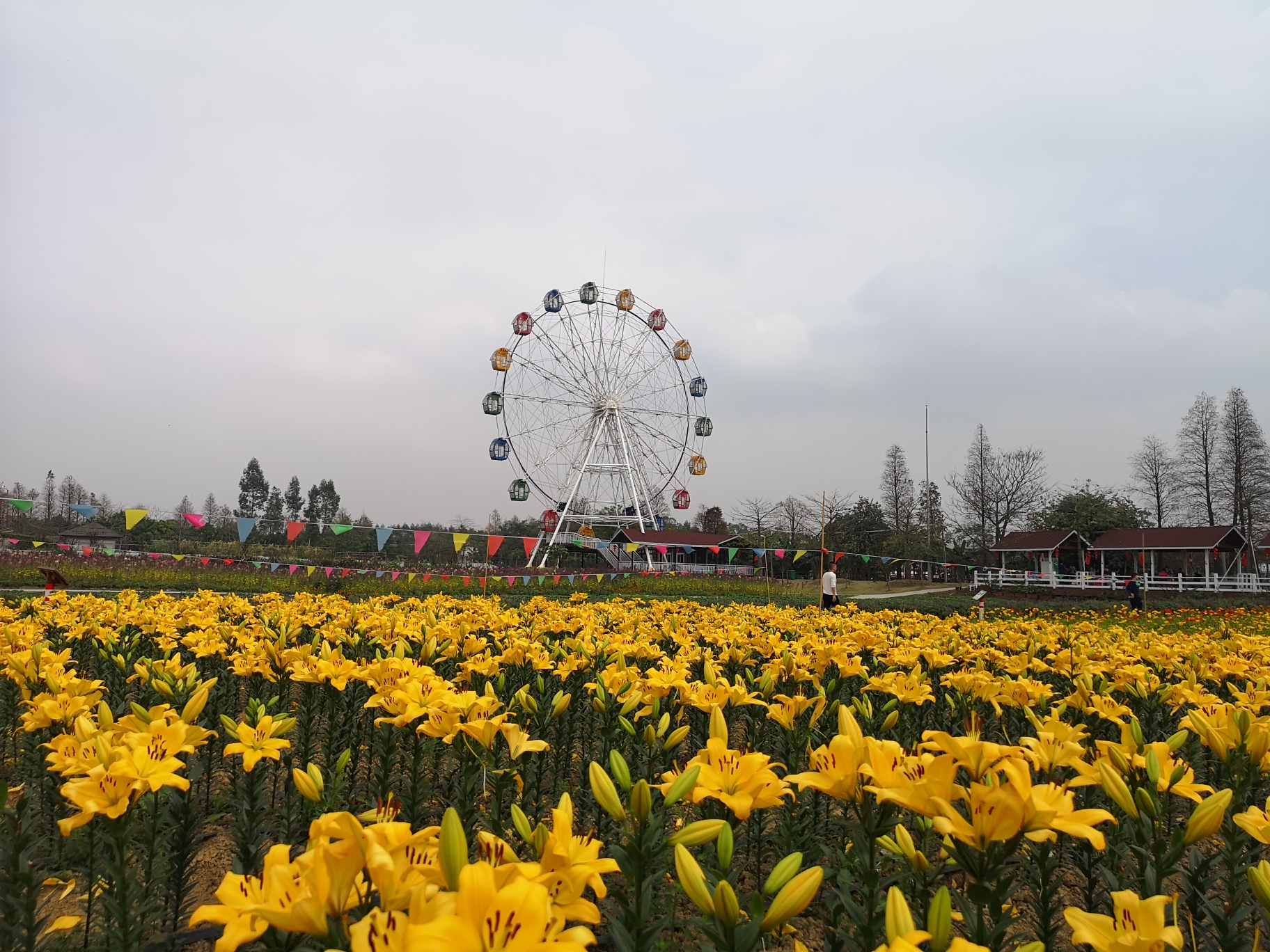 【何妹妹亲子游20】31m 春天来了 花都开好了 梦里水乡百花园免费游 9