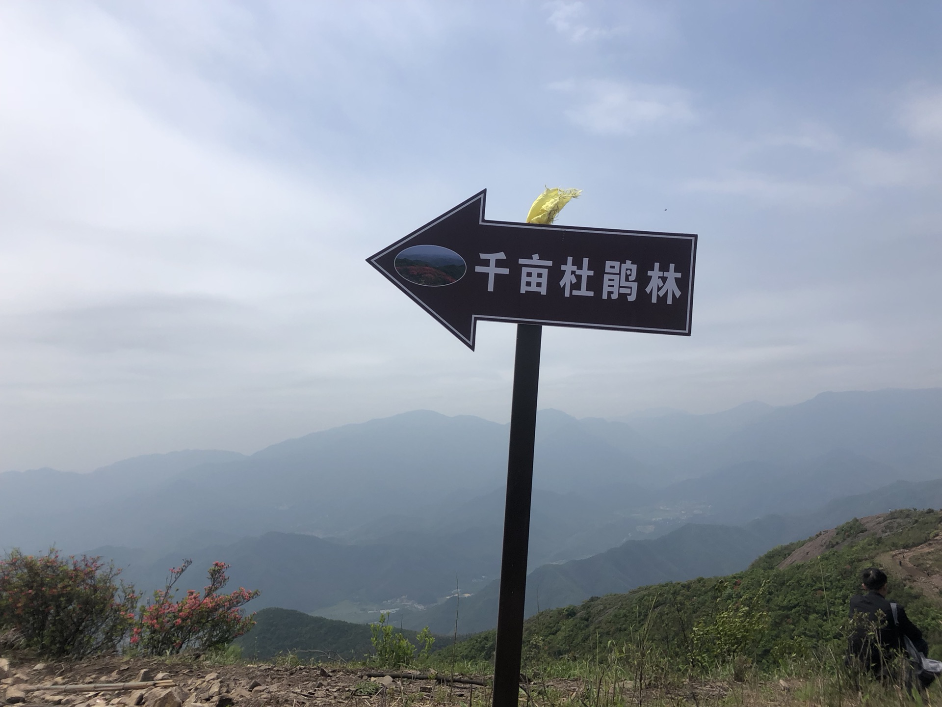 游鸬鸟山赏映山红,余杭旅游攻略 