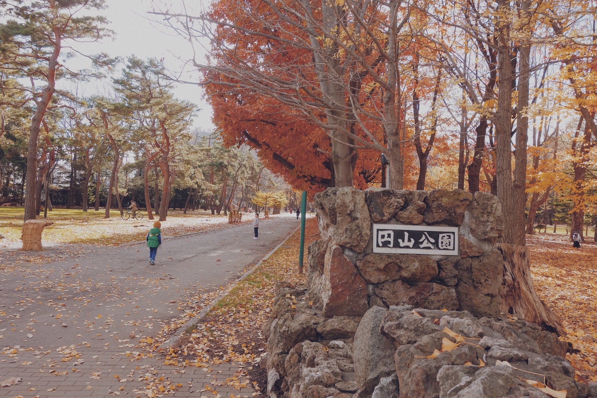 北海道自助遊攻略