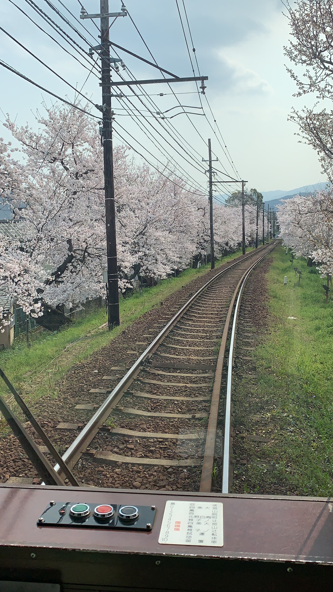 日本自助遊攻略