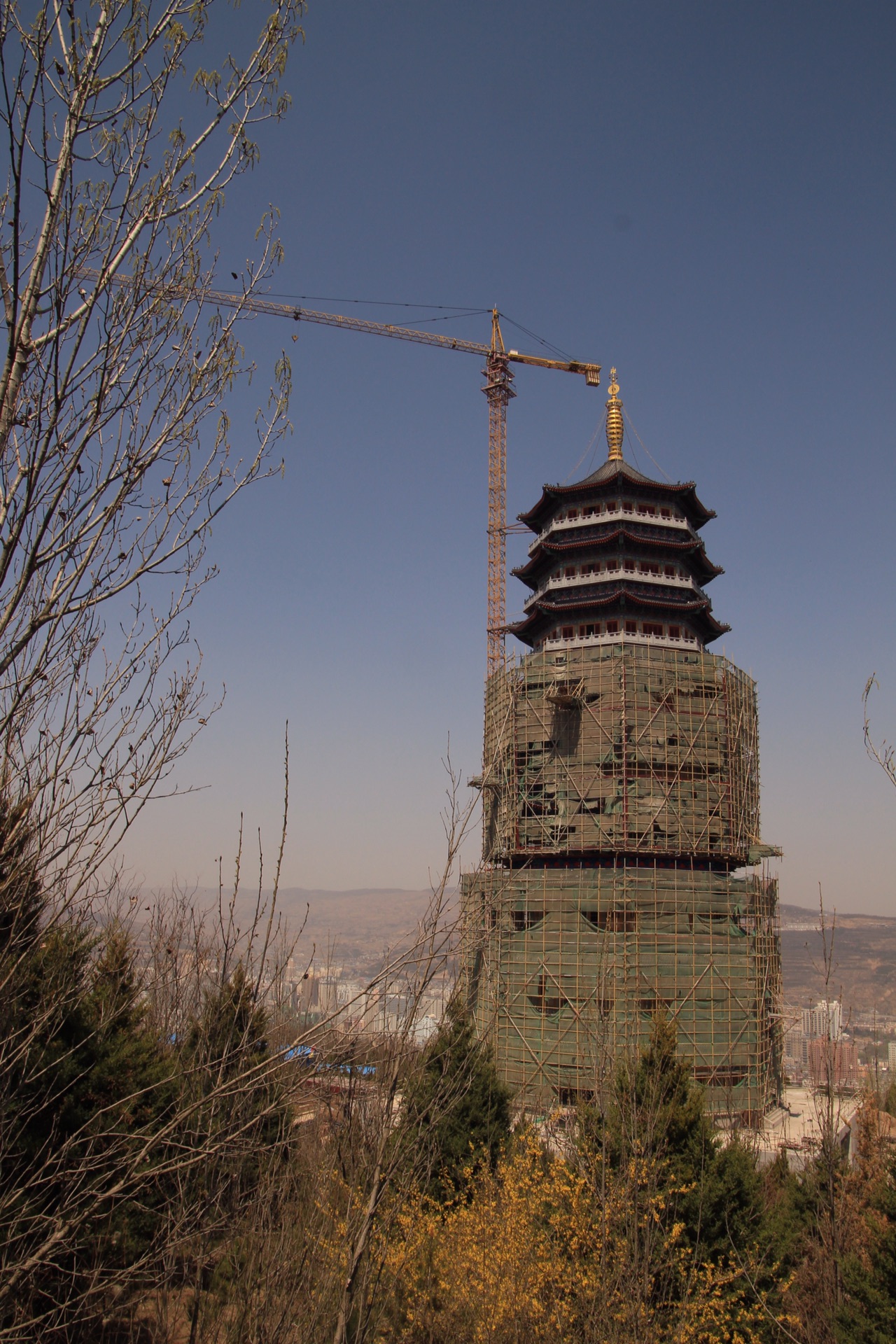 天水有个南郭寺