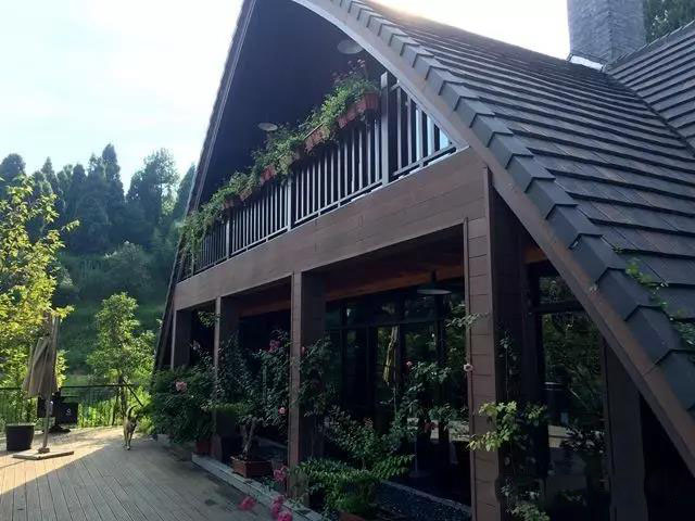 龙井湾休闲山