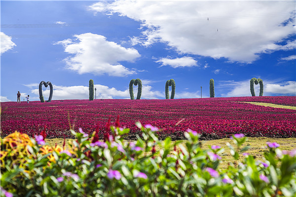 连云港伊甸园景区电子票