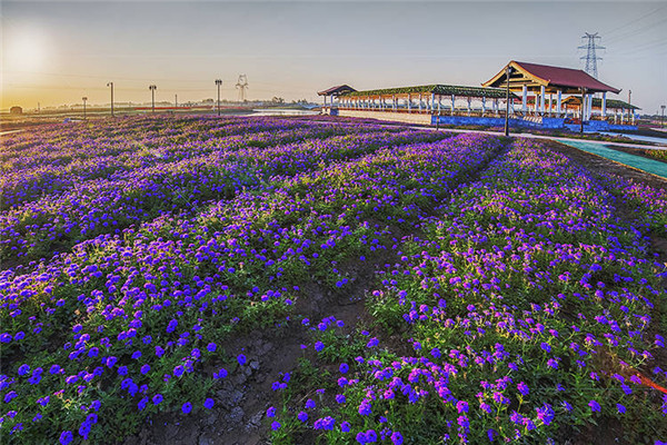 连云港伊甸园景区电子票