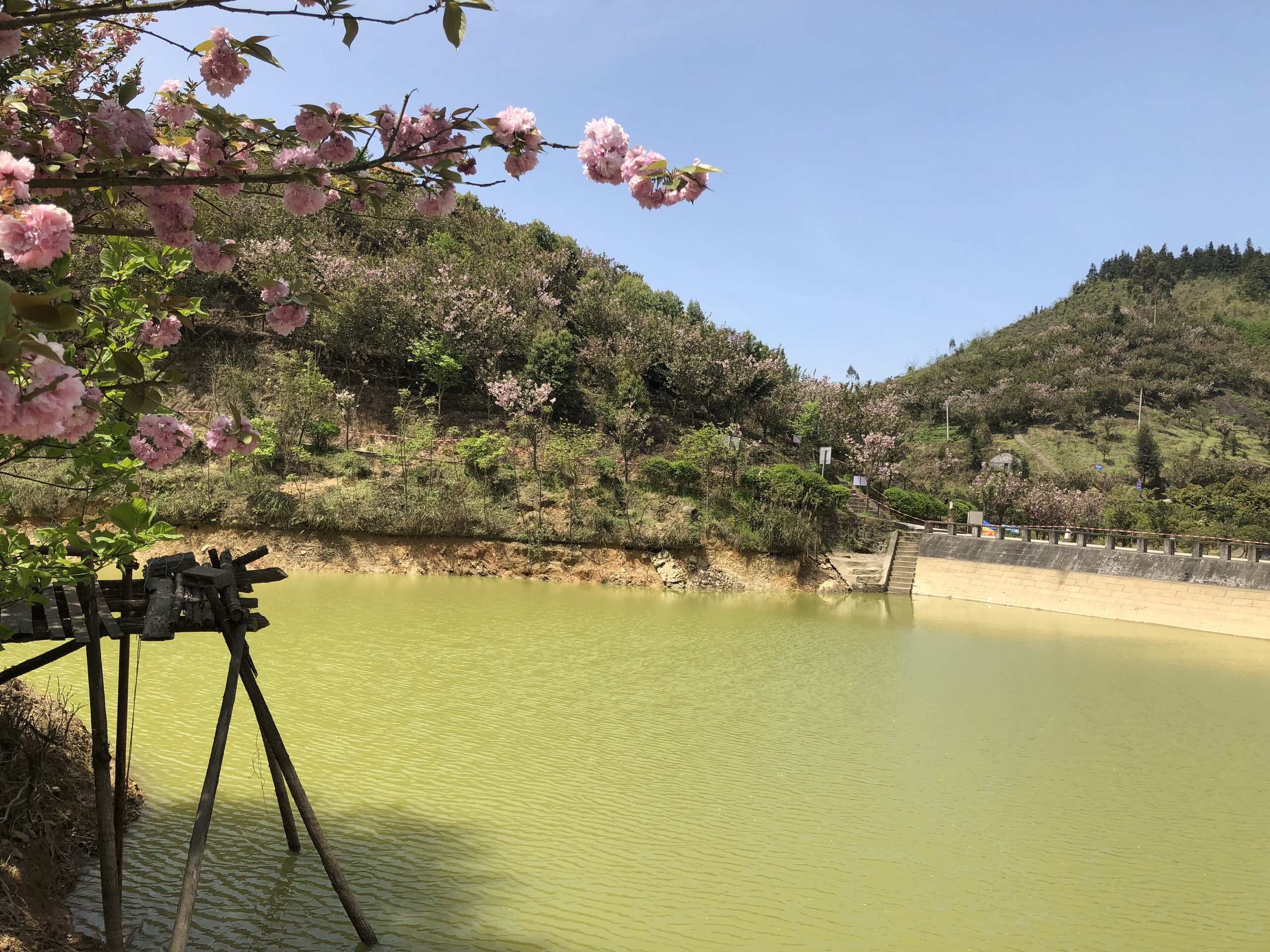 南川美食-沃草牧场