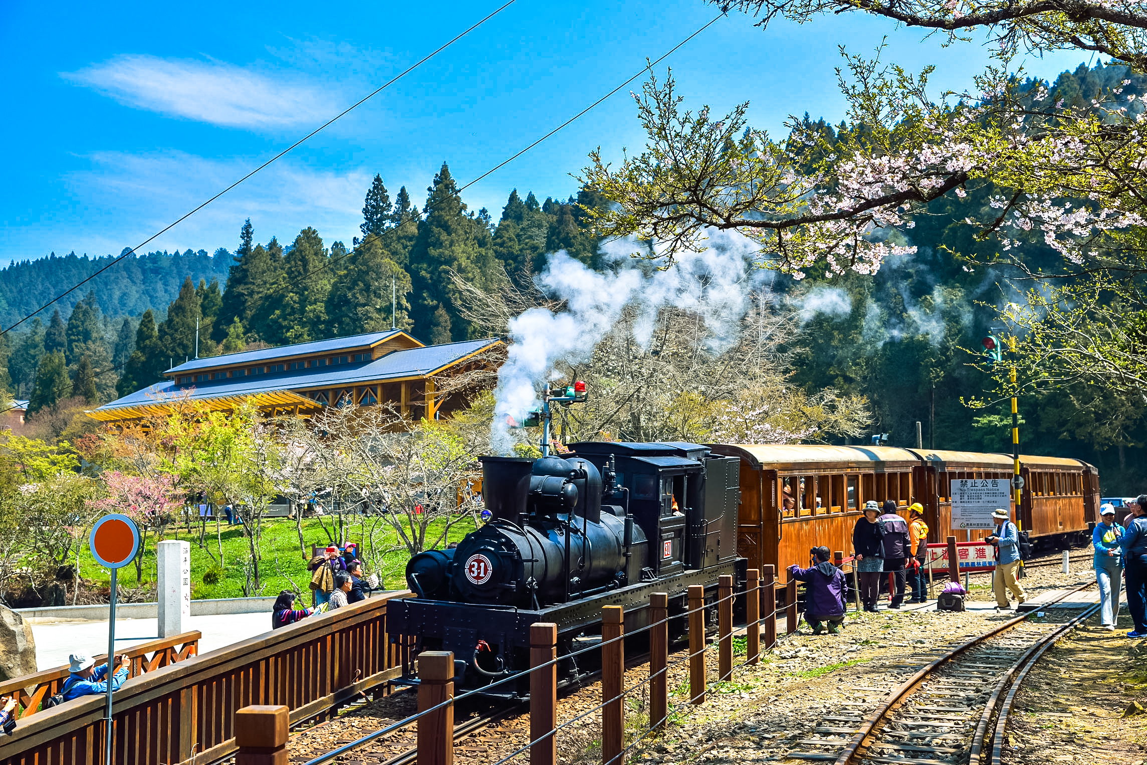 台湾 嘉义到阿里山奋起湖拼车2日游 (阿里山樱花季 祝山看日出 森铁本