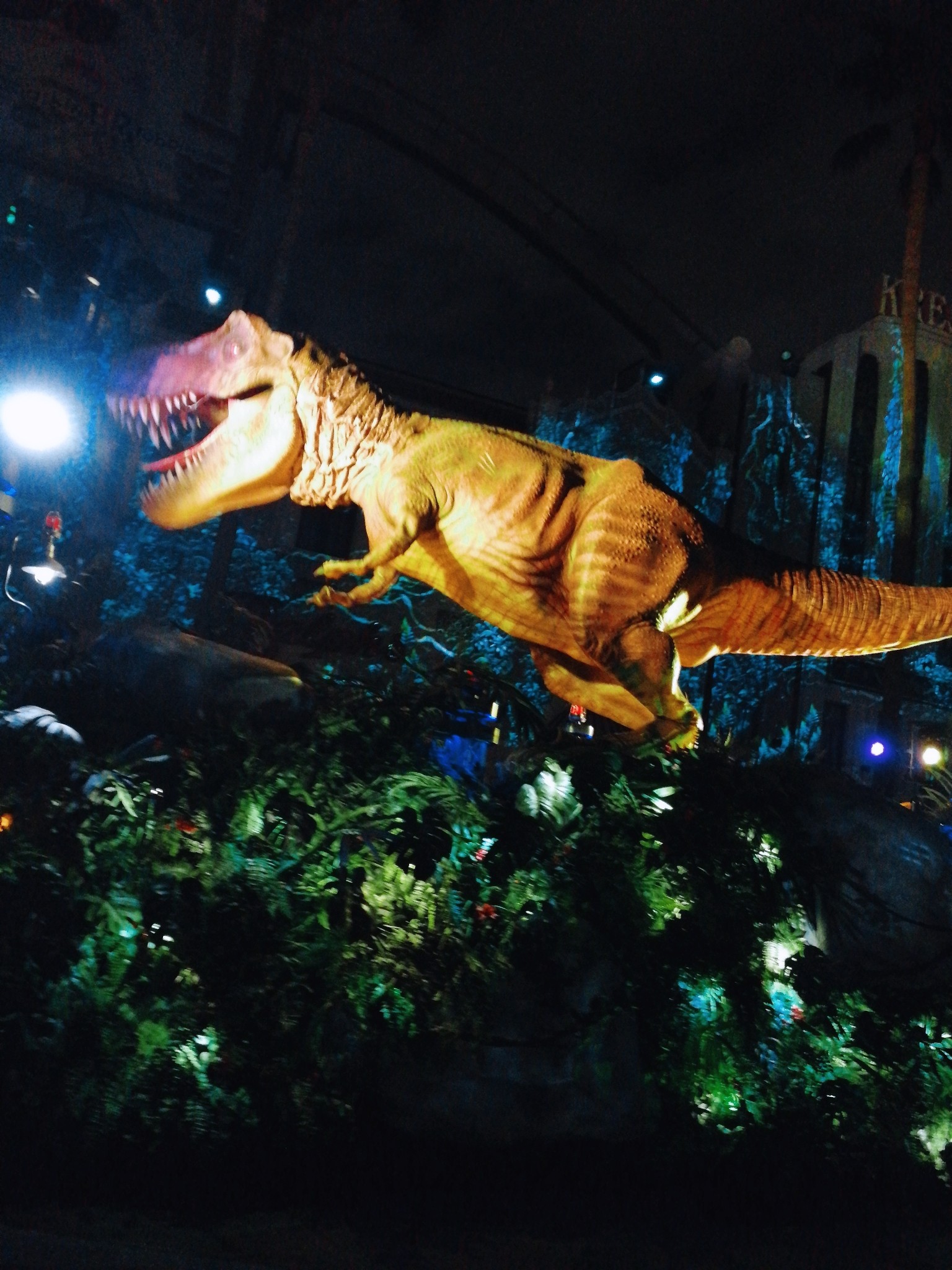 日本环球影城日本环球影城日本环球影城不过还好看了全程表演表示没有