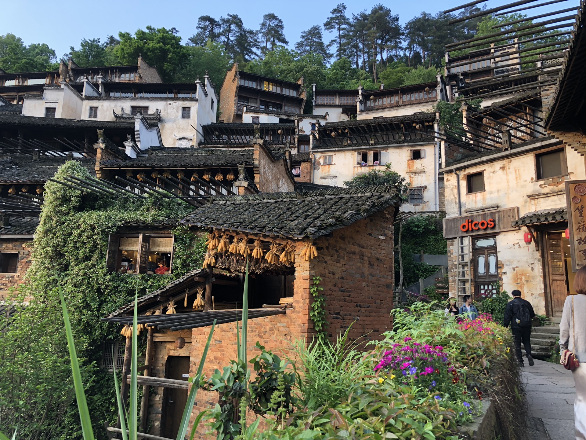 天行程1-彩虹桥2-丛溪庄园day5推荐景点结束语本篇游记共含1916个文字