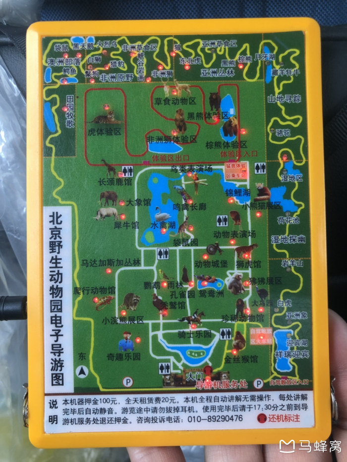 北京动物园北京野生动物园北京八达岭野生动物园哪个更值得去