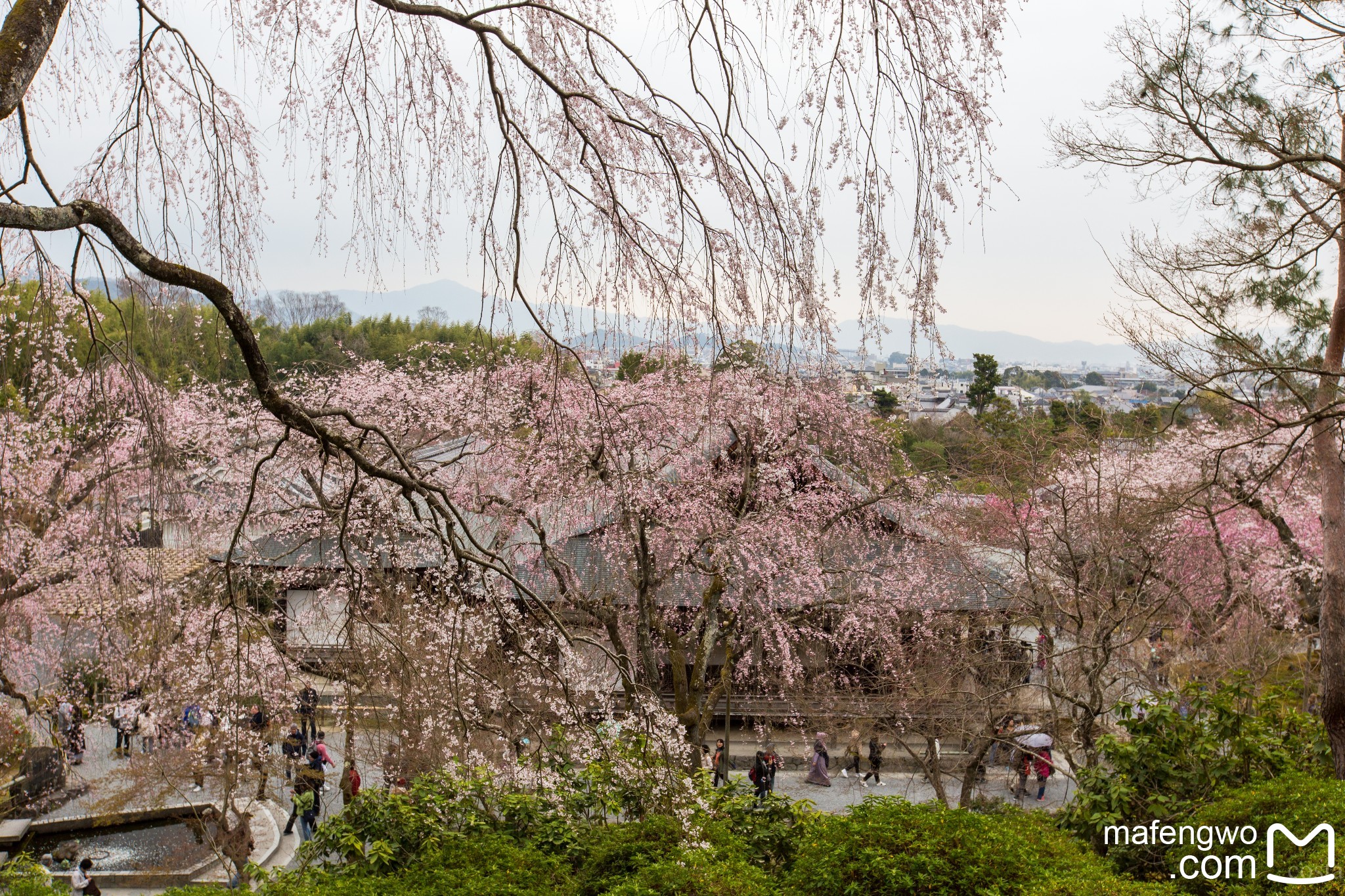 札幌自助遊攻略