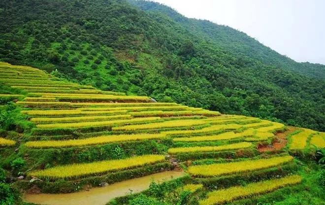 许你一片大草原深圳近郊白盆珠腹地