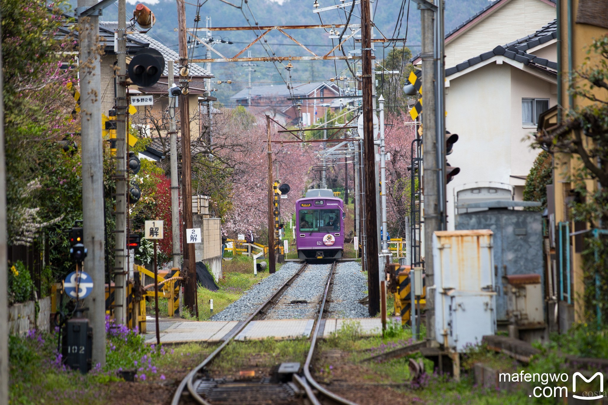 札幌自助遊攻略