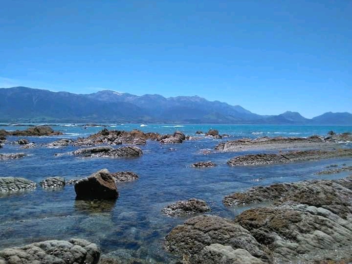 Kaikoura Llama Trekking