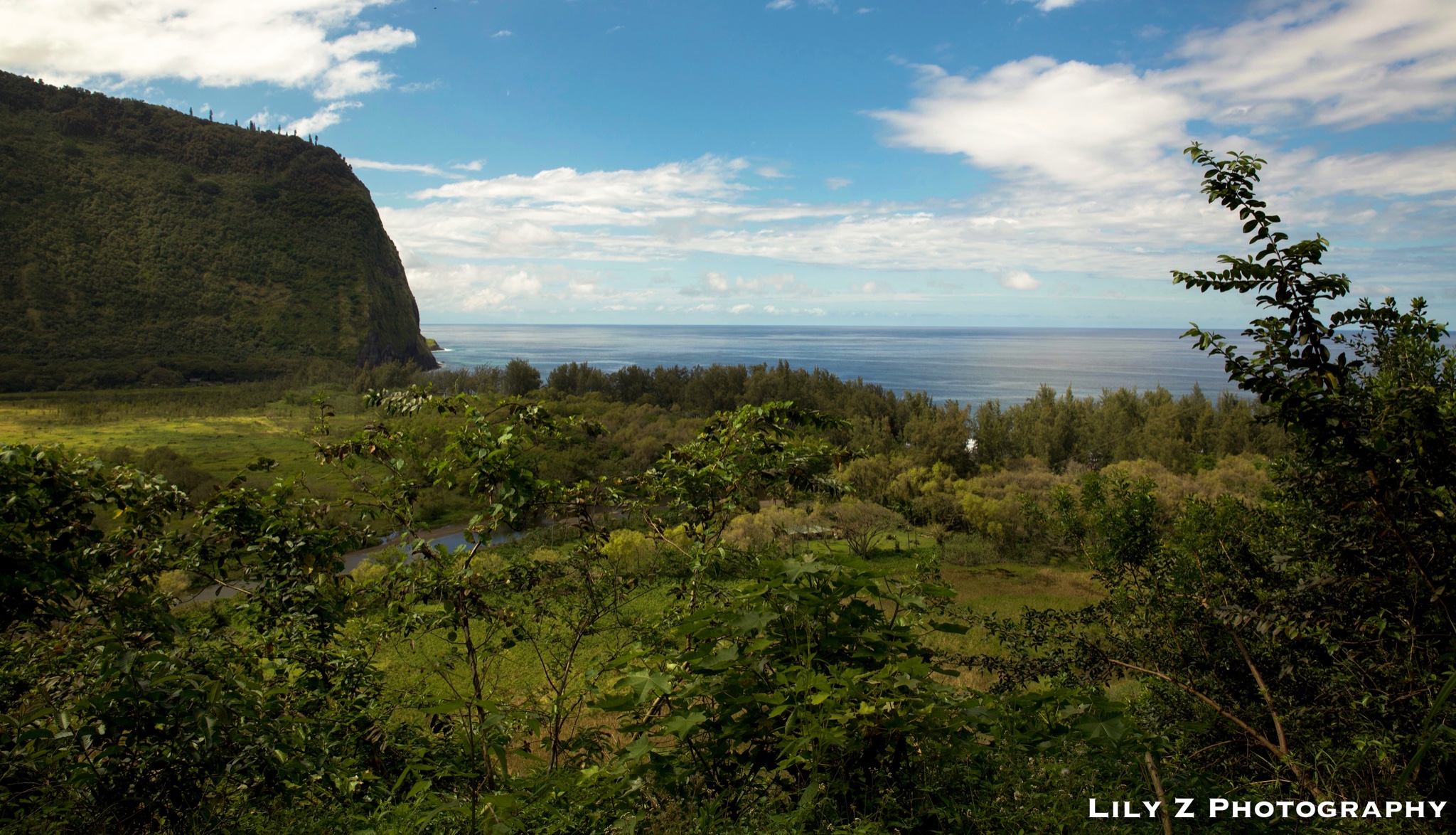 Hawea Waipio Valley Adventure