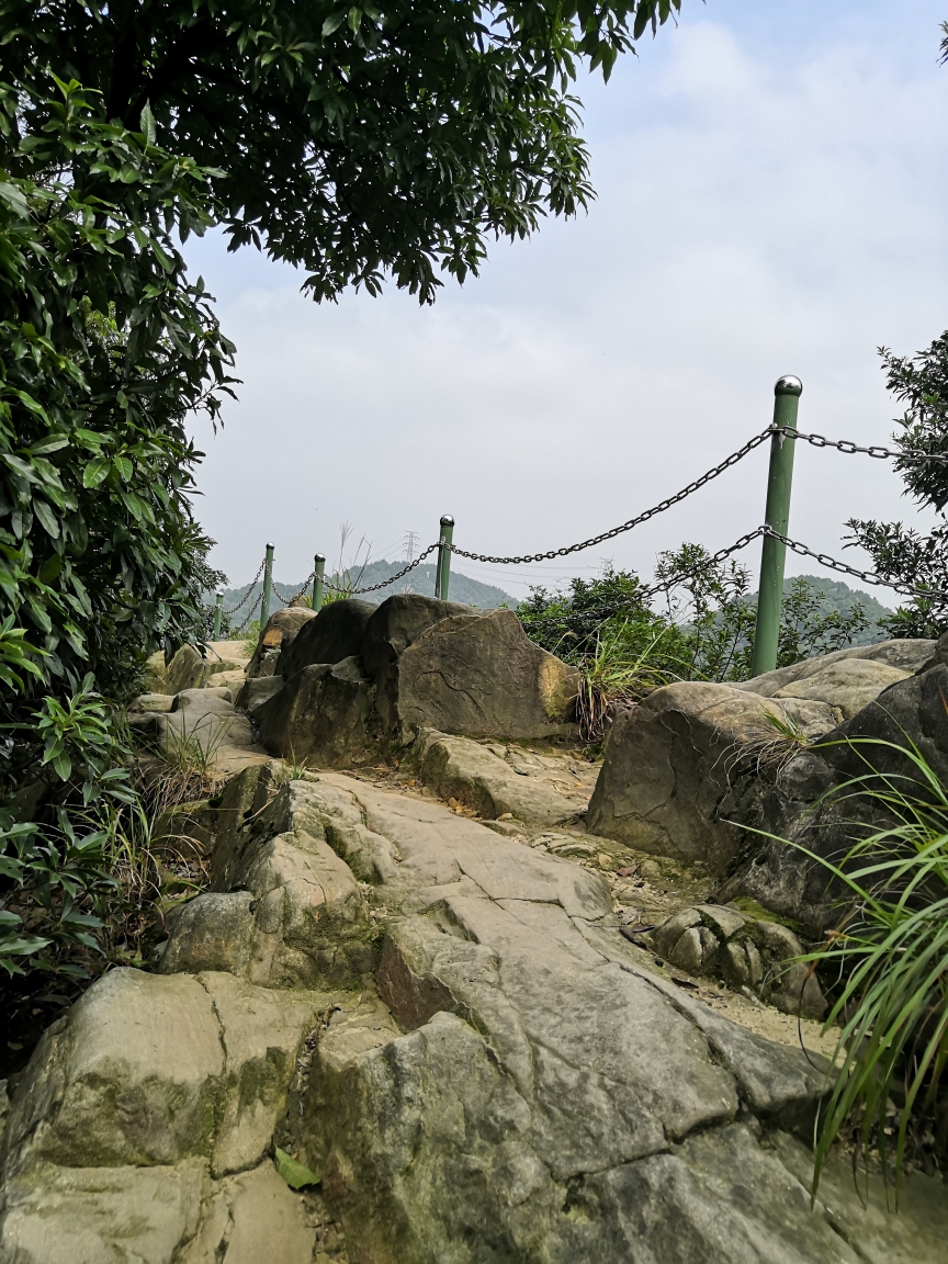 重庆步道龙脊山赳赳看世界