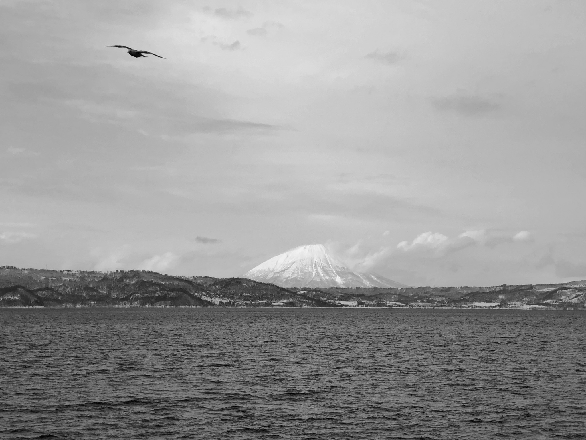 北海道自助遊攻略