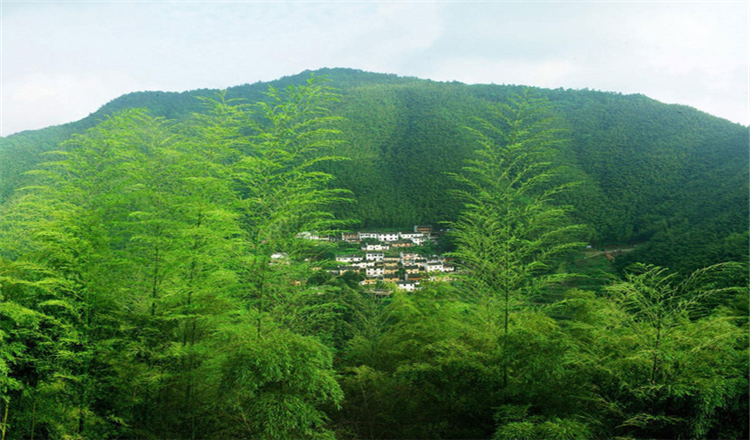 五一假期安徽黃山徽州宏村新安江山水畫廊呈坎木坑竹海屯溪老街4日遊