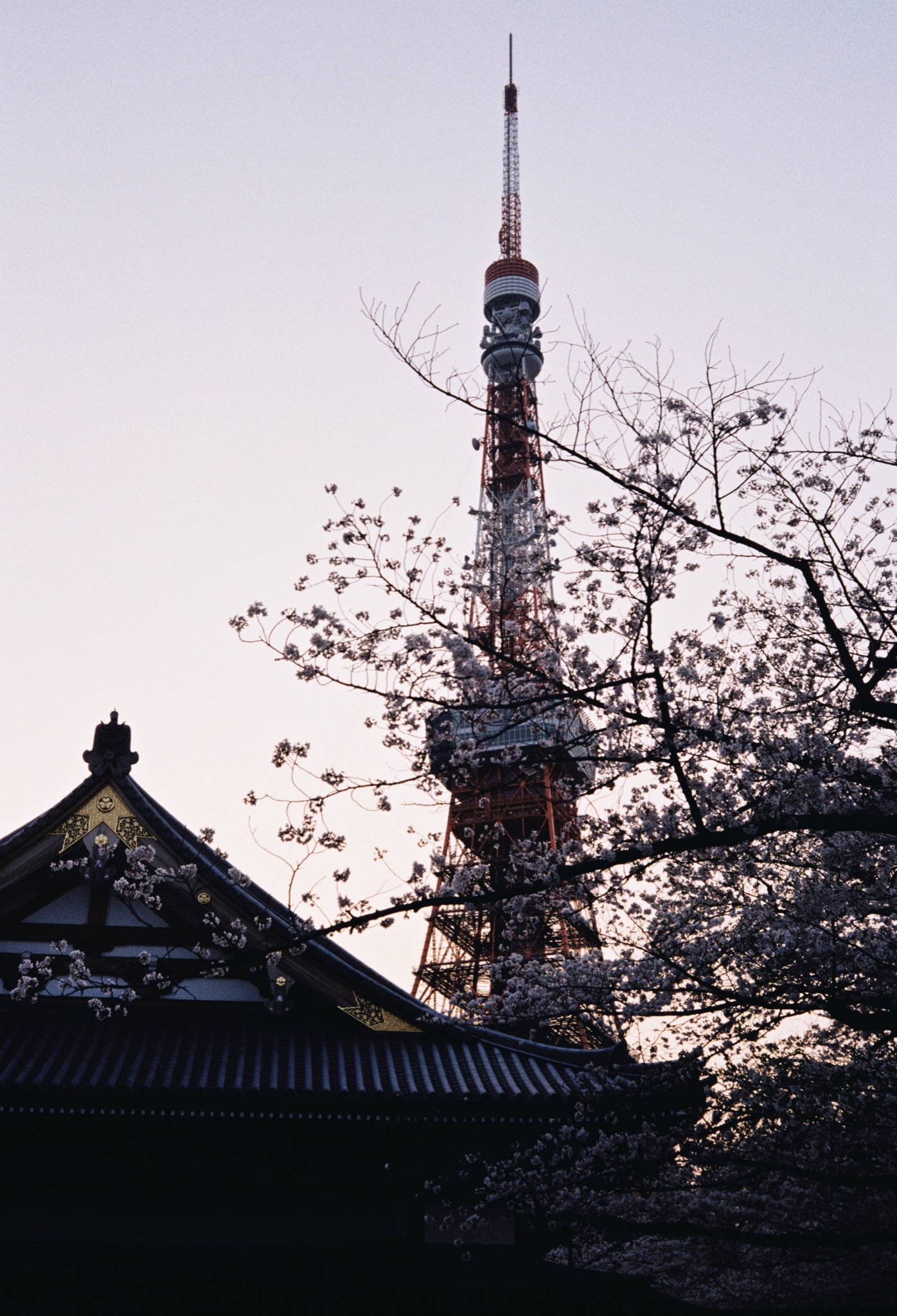 東京自助遊攻略