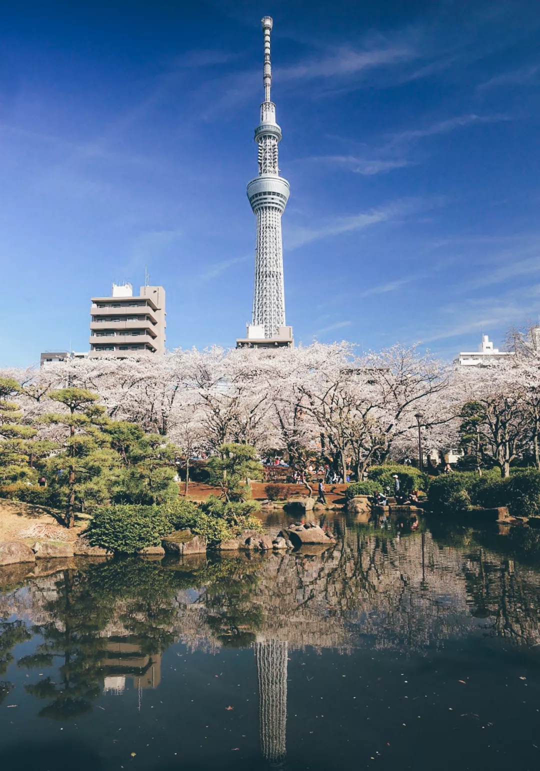 东京墨田区:东京夜景观赏最佳位就是在晴空塔的345楼(收录必打卡的5处