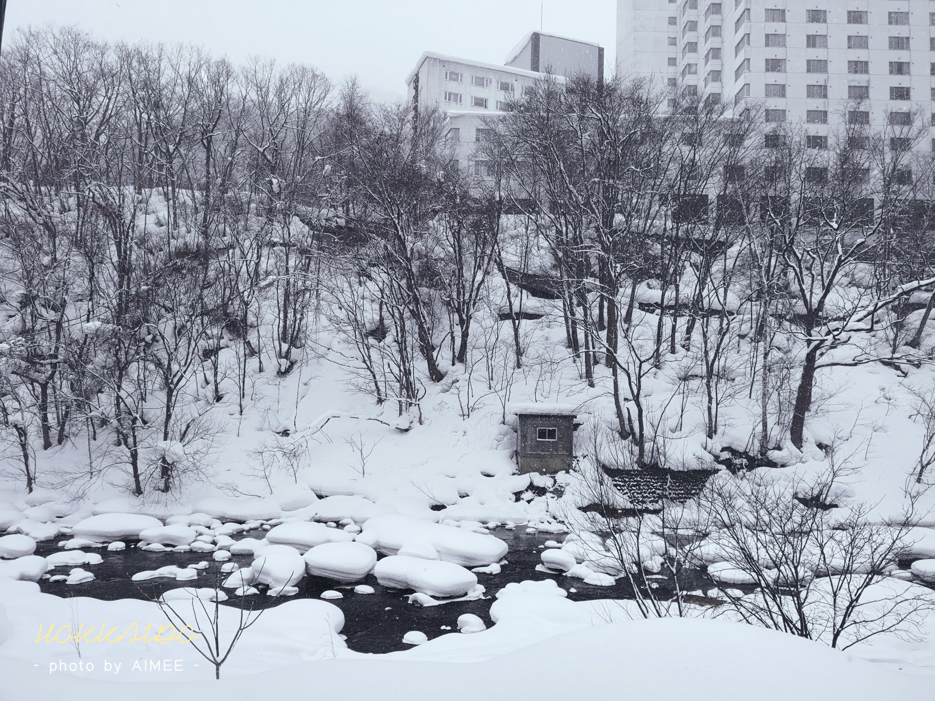 札幌自助遊攻略