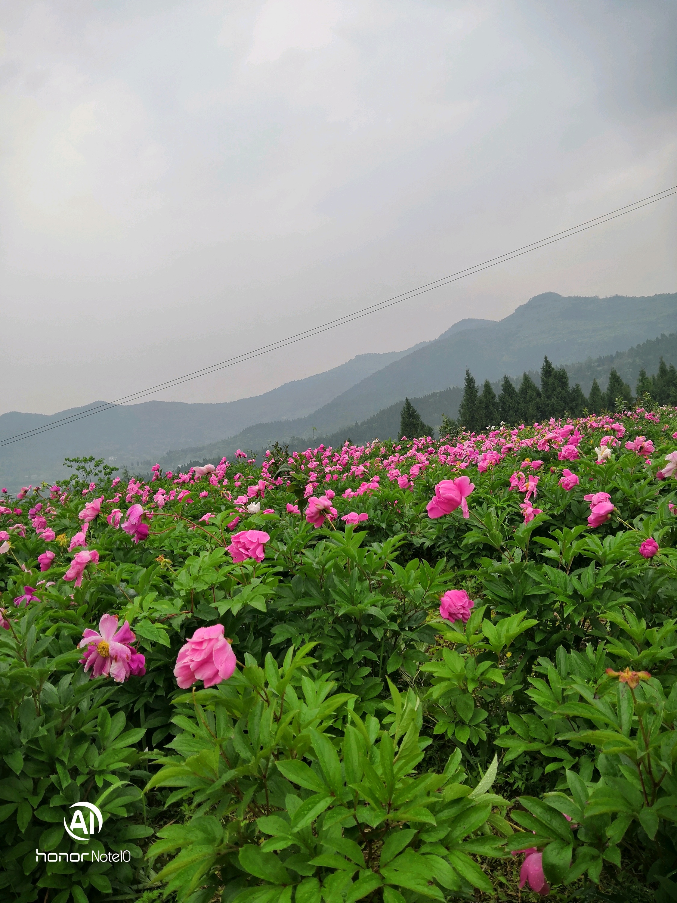 岳池县美食-船王火锅