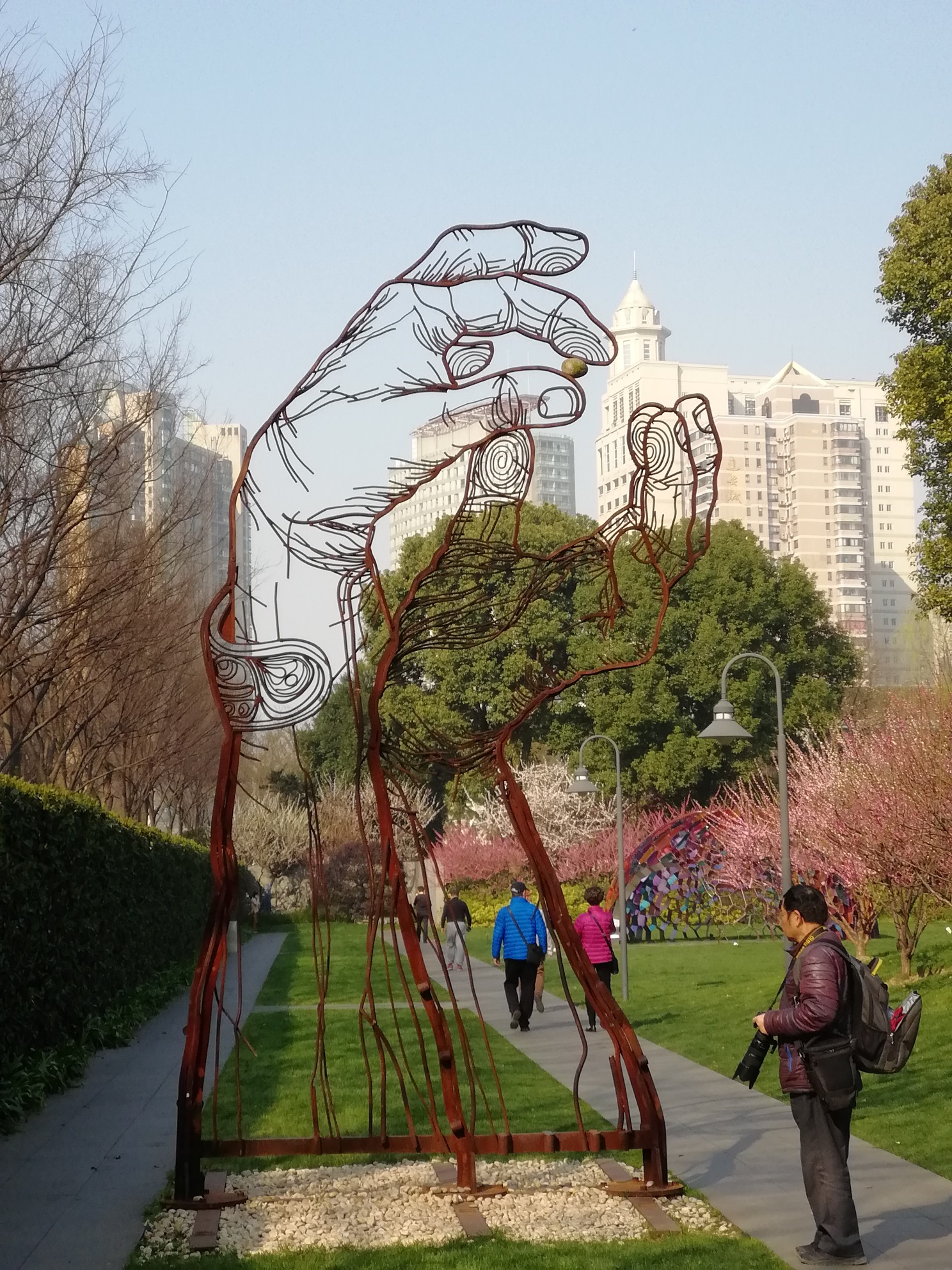 上海静安雕塑公园的樱花