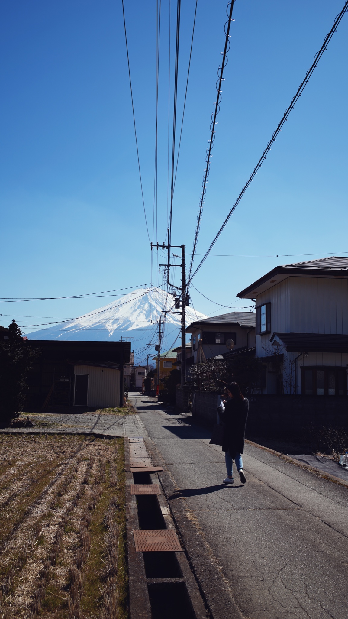 東京自助遊攻略