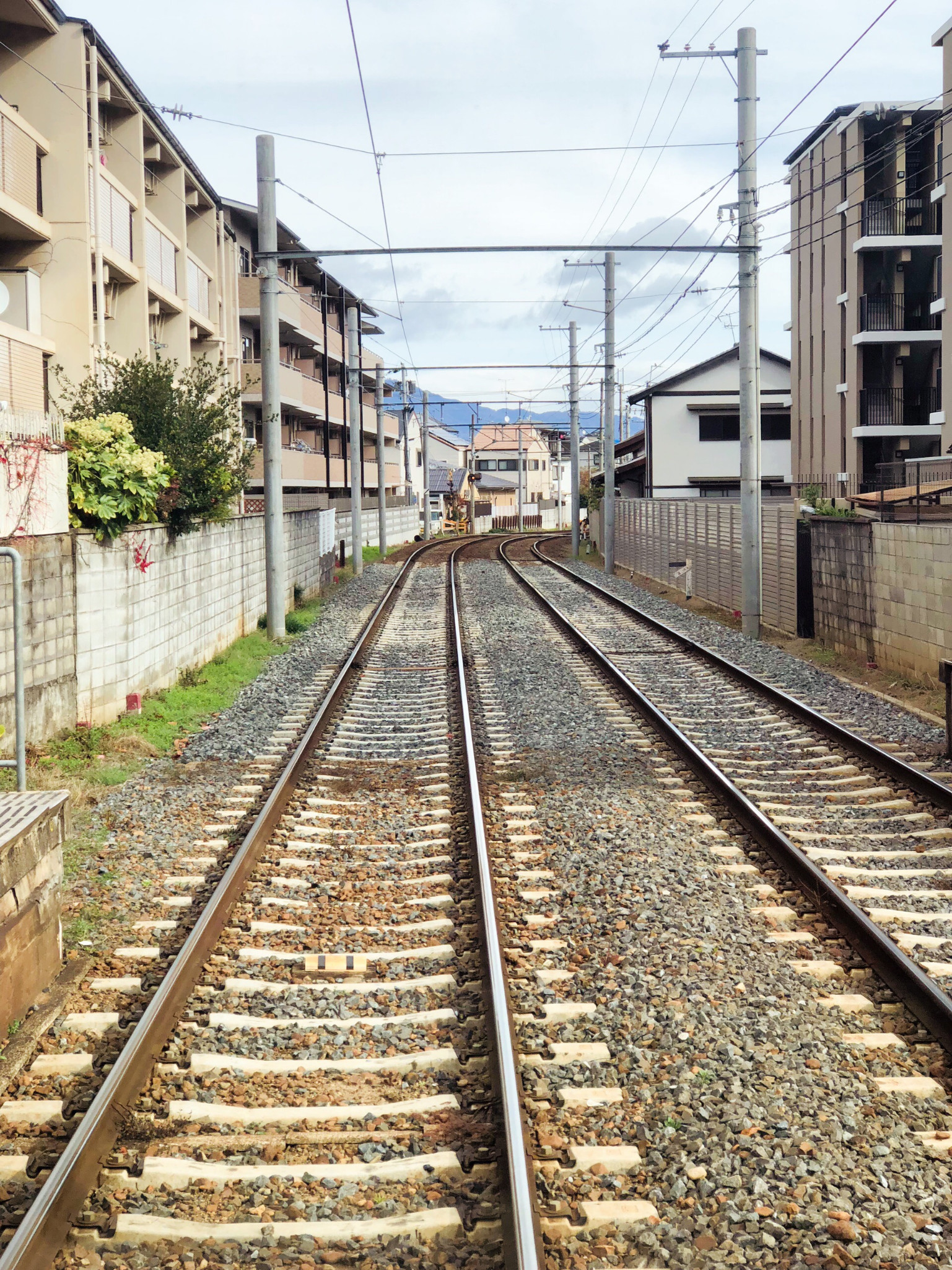 【日本】再探霓虹國,暴走關西(京都,奈良,宇治,大阪)——8天自由行