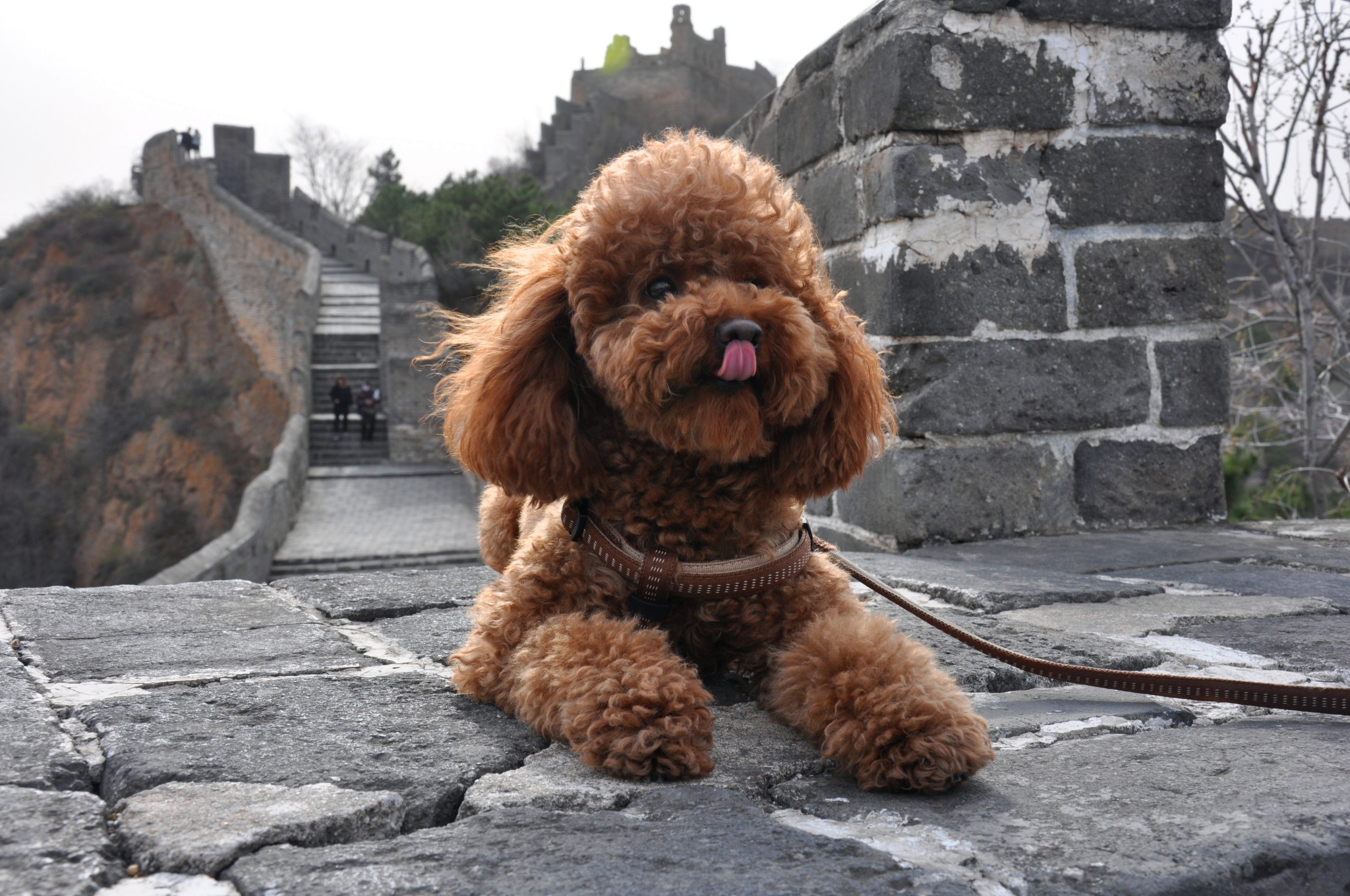 滦平旅游图片,滦平自助游图片,滦平旅游景点照片 - 马蜂窝图库 - 马