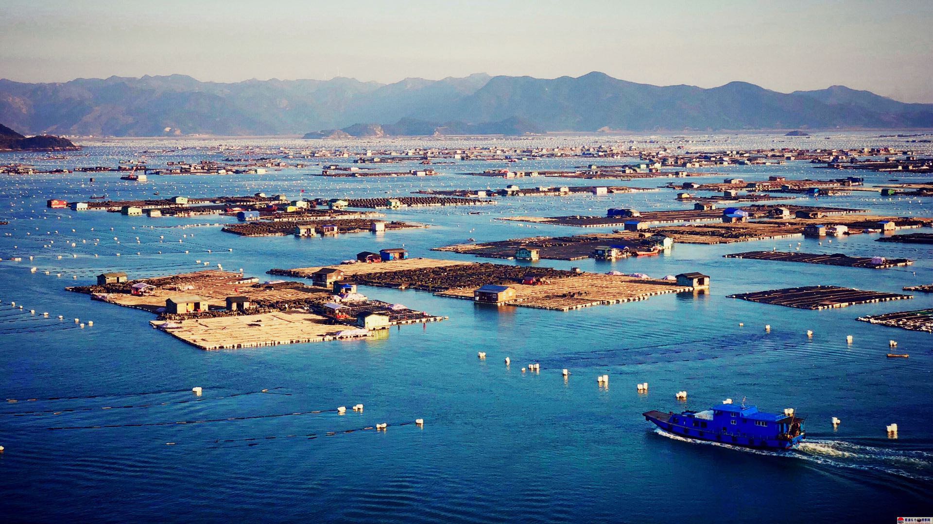 包船费用:依据船大小100元-200元不等 东安岛地处霞浦县中部的东吾洋