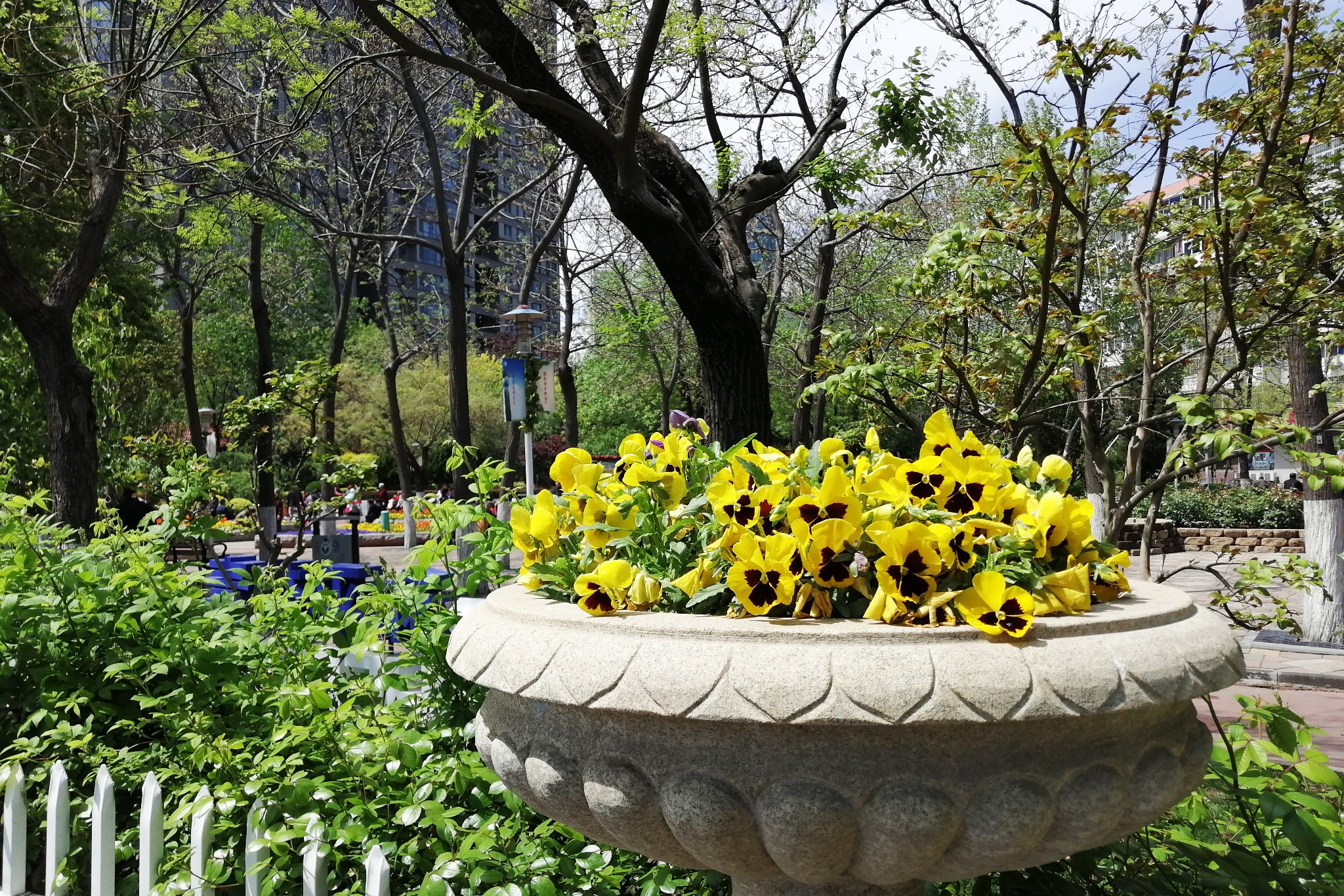 20190425天津土山公园随拍,天津旅游攻略 - 马蜂窝