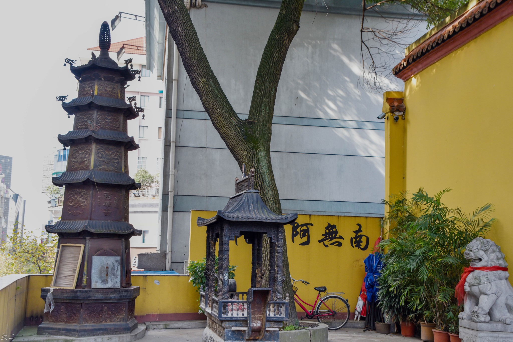 金华 西华寺 莲花井 宋代古寺古井,金华旅游攻略 - 马蜂窝