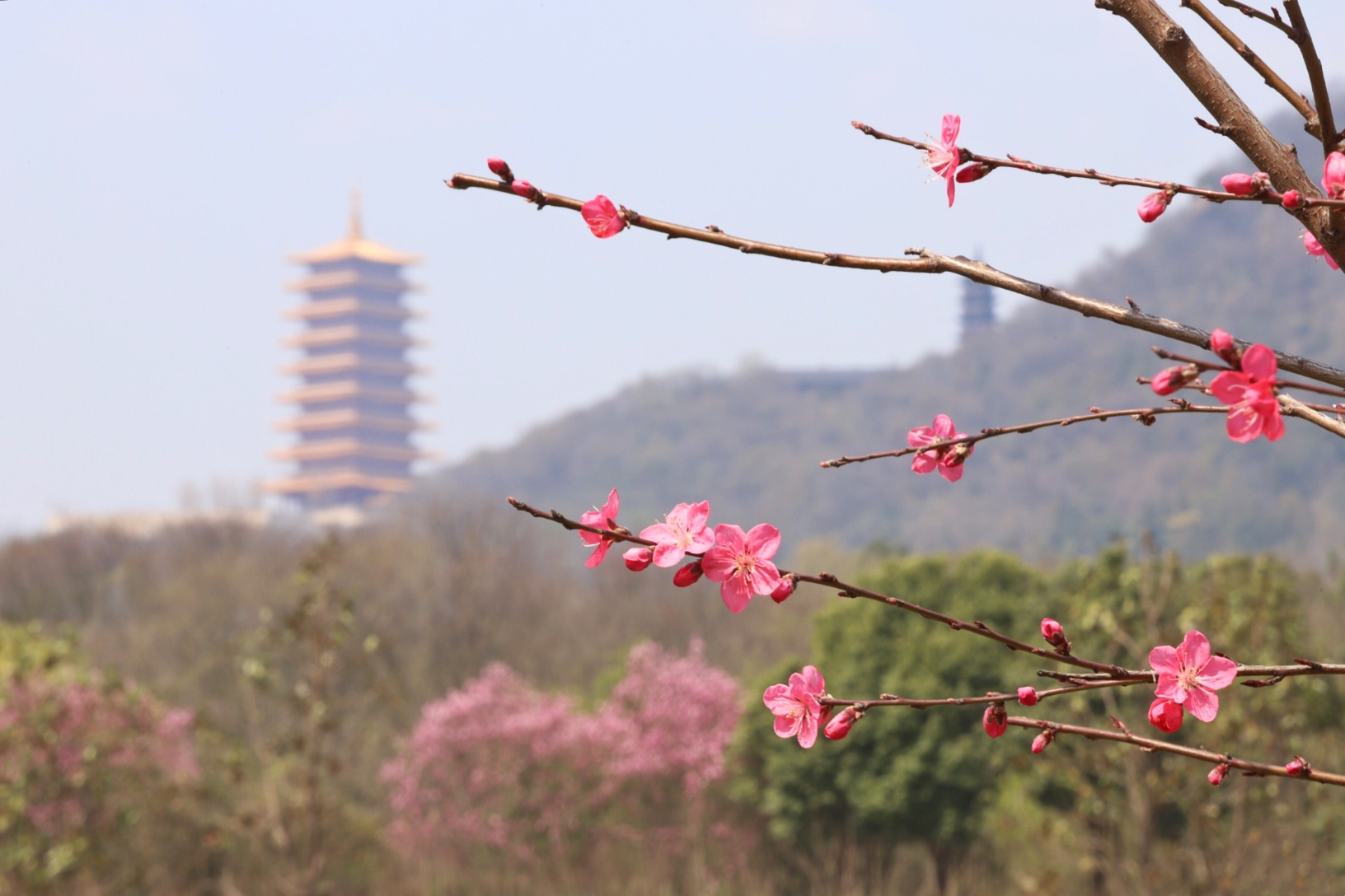 隐龙湖广场