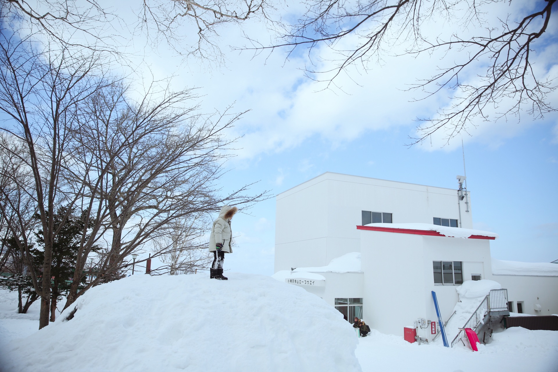 北海道自助遊攻略