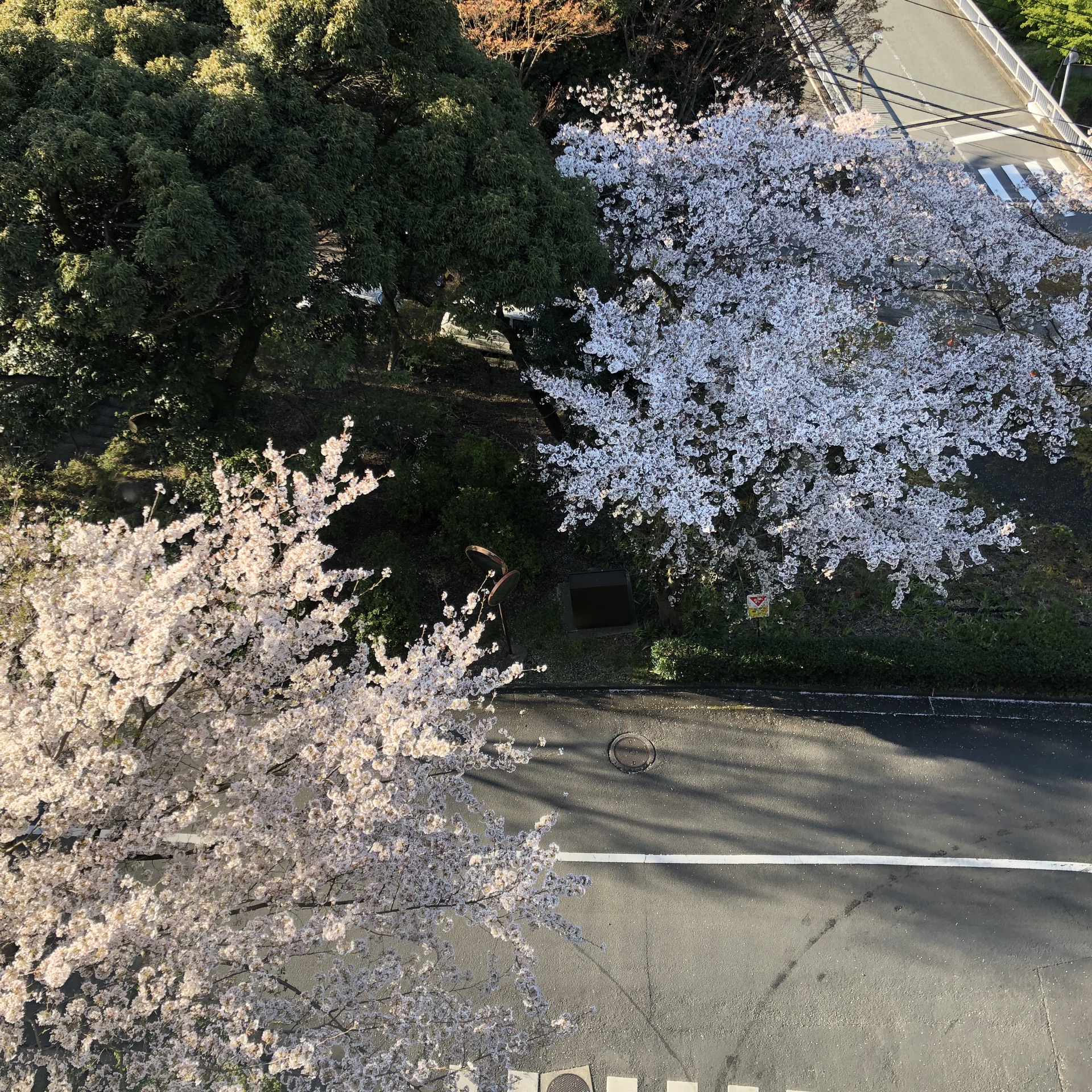 箱根自助遊攻略