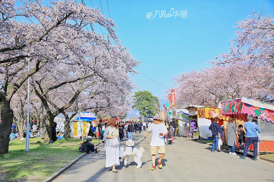 日本自助遊攻略