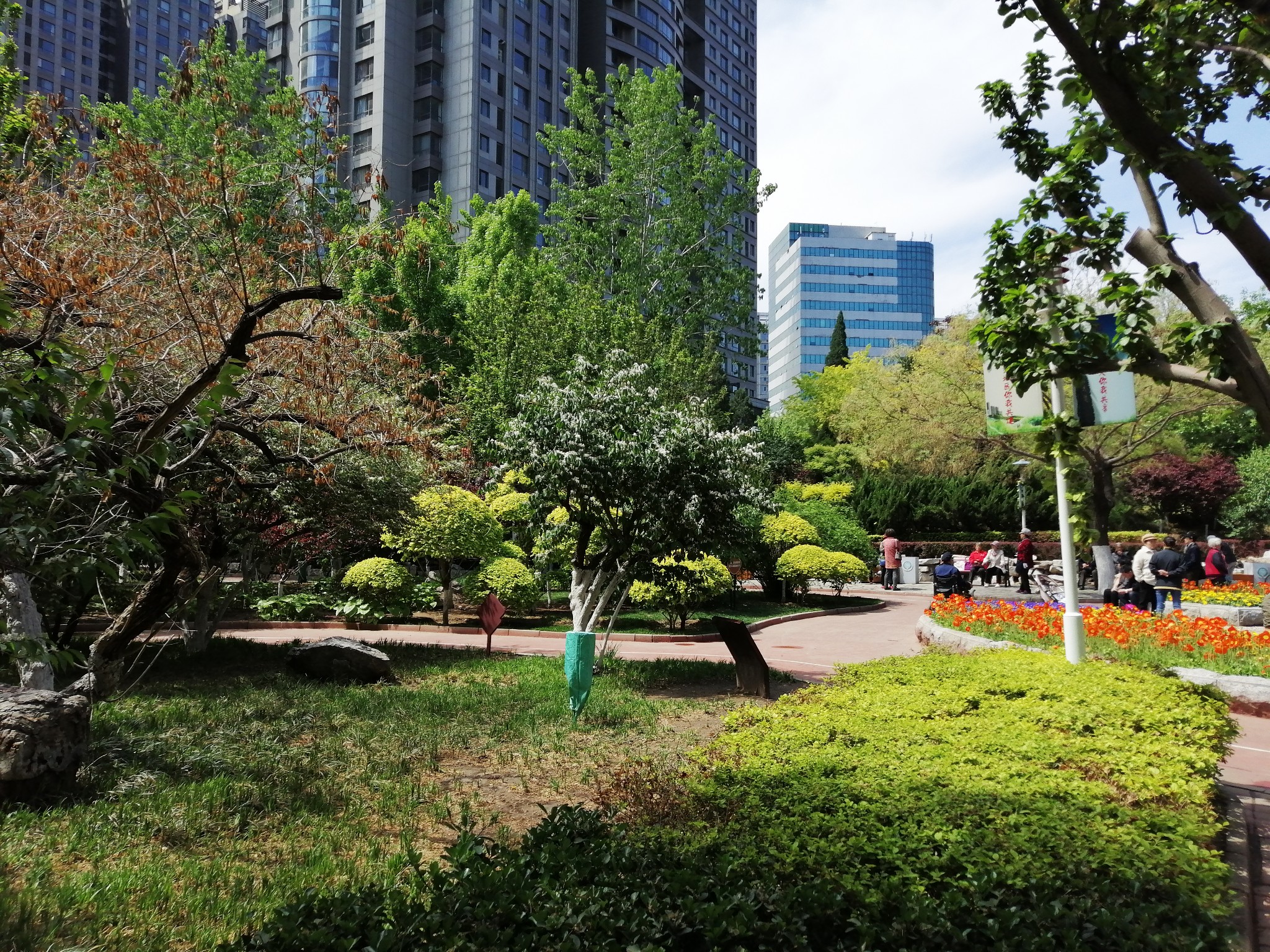 20190425天津土山公园随拍,天津旅游攻略 - 马蜂窝