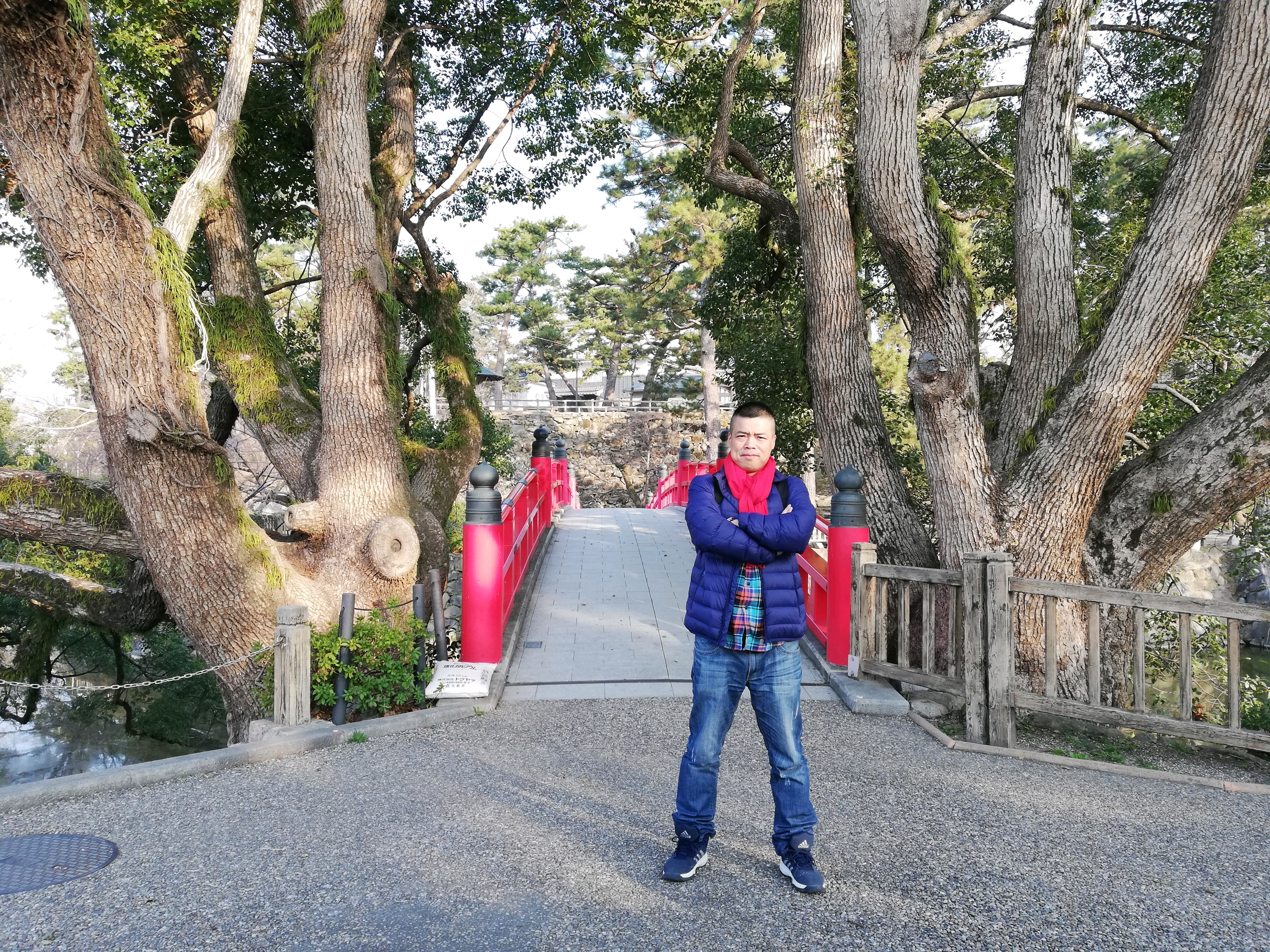 冈崎市龍城神社攻略 龍城神社门票 地址 龍城神社游览攻略 马蜂窝