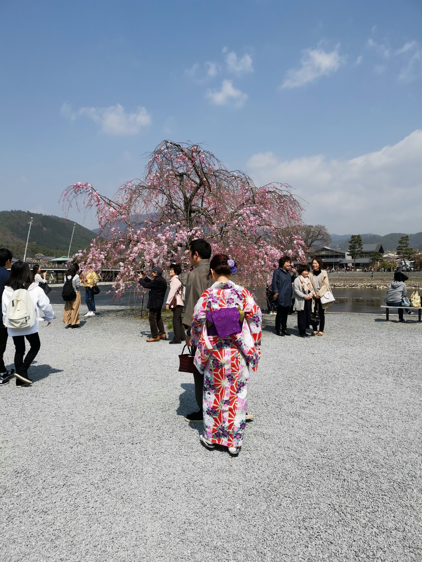 京都自助遊攻略