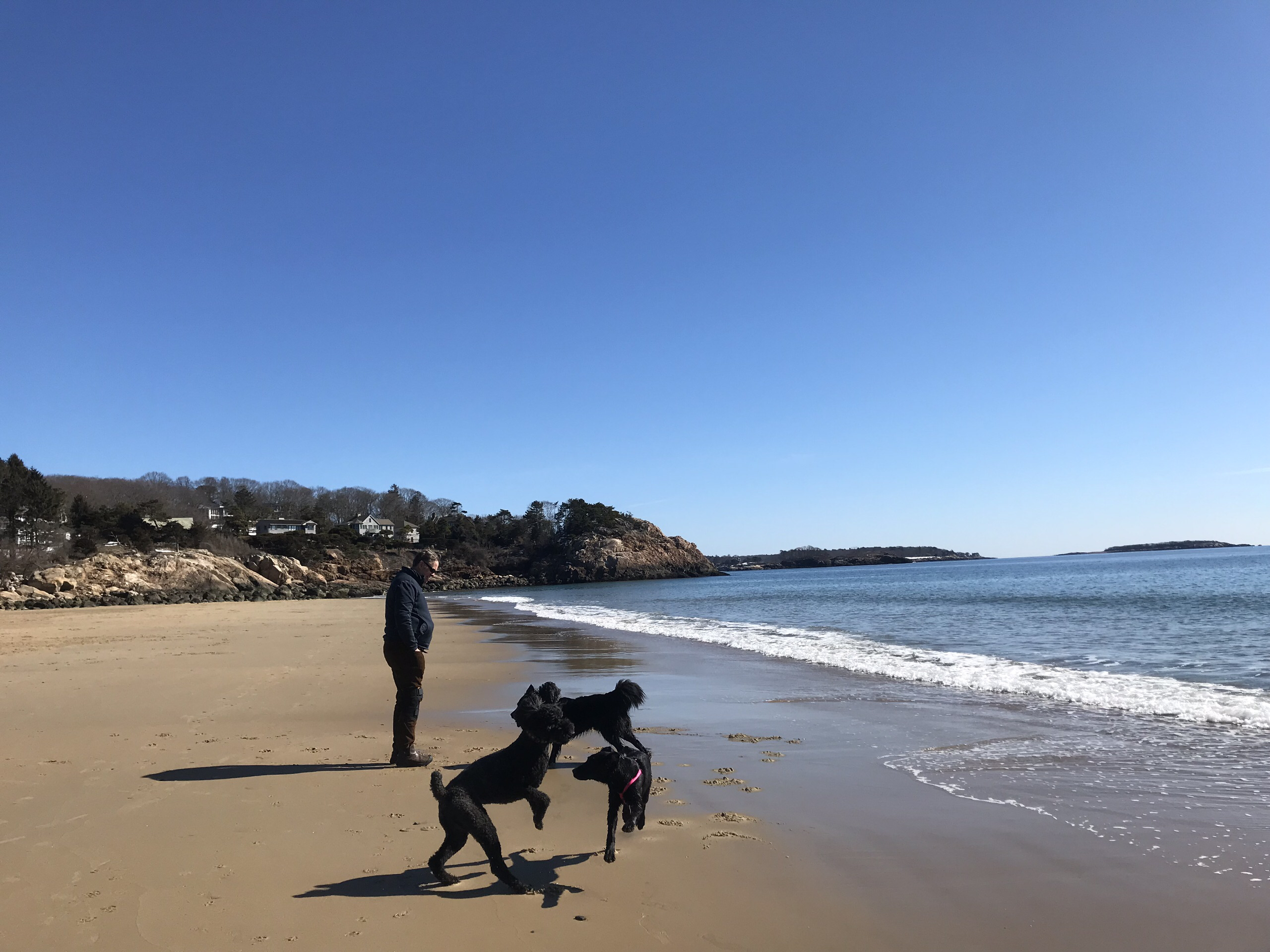 Singing Beach